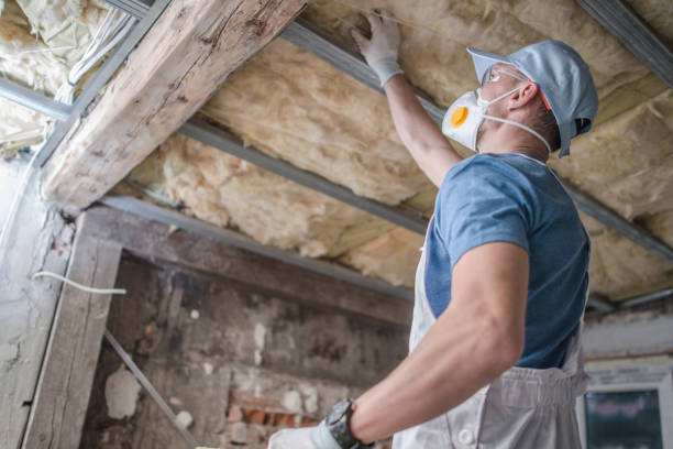 Best Insulation for Specific Applications in Fountain Inn, SC